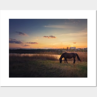 horse meets sunset Posters and Art